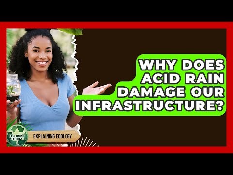 Why Does Acid Rain Damage Our Infrastructure? - Explaining Ecology