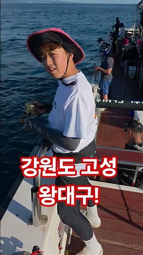#강원도#고성#왕대구#왕대구낚시#대구낚시