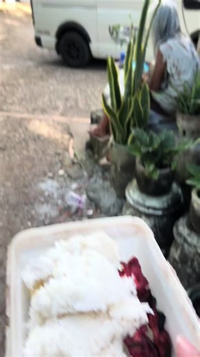 Funny Laughing Videos Featuring Nanay