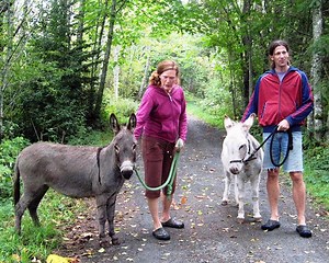 Guide to the Galloping Goose Trail, Vancouver Island