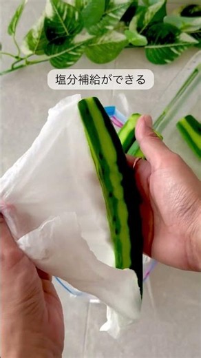 【製氷袋できゅうりの1本漬け】