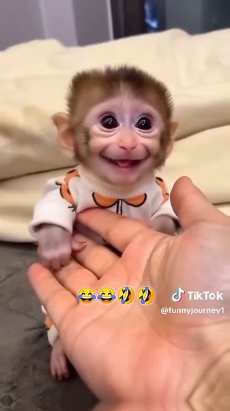 Hilarious Moments That Will Make You Laugh Out Loud