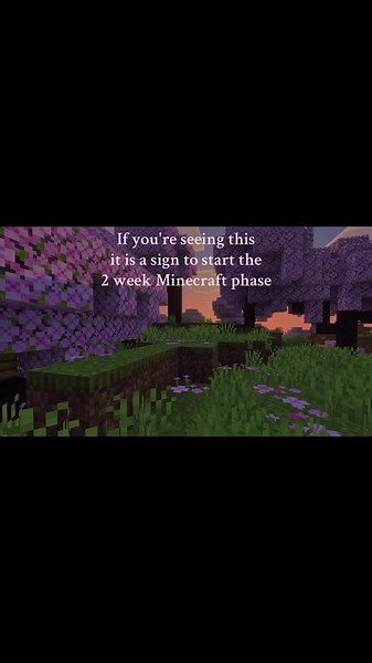 Start that Minecraft phase. #minecraft #pretty #2weeks