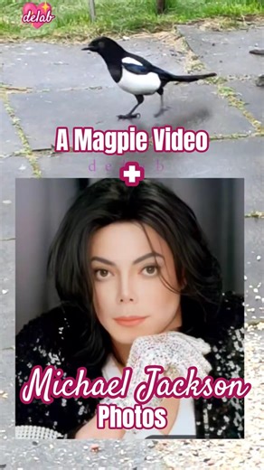 Michael Jackson 'Billie Jean' Photo Collection.