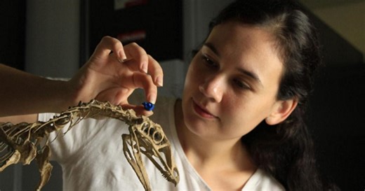 Brain of flying reptile’s ancestor rebuilt to find out how they took flight