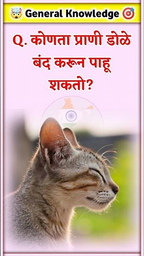 Quiz Marathi | जनरल नॉलेज | General Knowledge | Question And Answer | GK QUIZ MARATHI