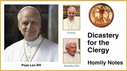 PAPAL HOMILIES – 3rd Sunday of Easter (A) - The Word This Week