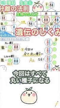 What happens with genetics? #Junior high school science #Ponyon junior high school science anime!...