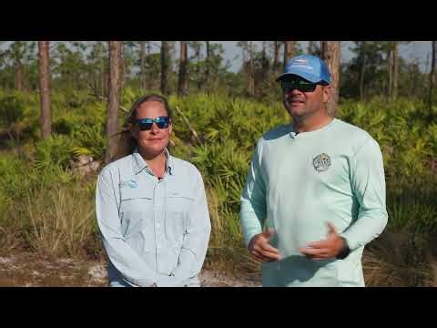 All About Tarpon | Conserving the Flats with BTT