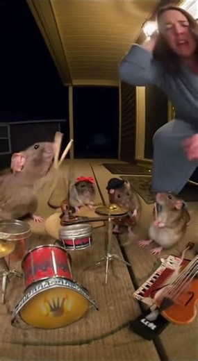 Rats Start a Punk Band on My Porch at Midnight 🐀🎸