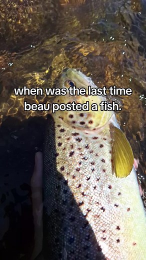 bros got more combos than he has fish😭 just jokes🥰 honestly we should all just be hating on fishing flop #trout #fishtok #dontletthisflop #viral #fyp #daiwa #shimano #fishing #boats #