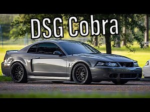 Sn95 Mustang Cobra Terminator #terminatorWeek