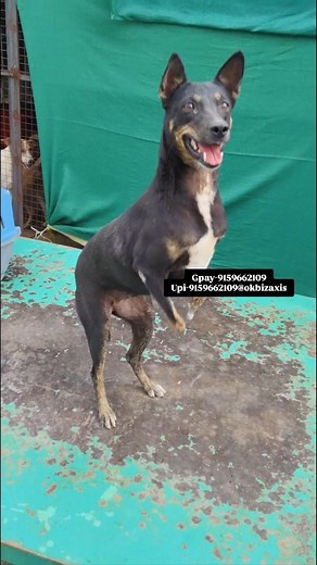 32K views · 4.4K reactions | We had to complete all this work...