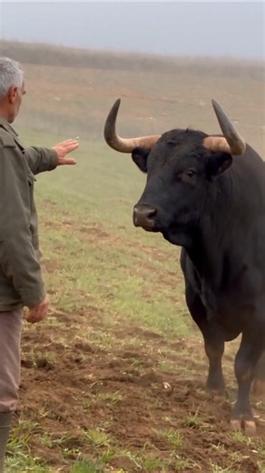 La relación entre humanos y animales puede ser mucho más compleja de lo que imaginamos.