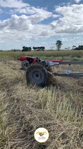 #ep308 #tractorstuntvideo #tractorvideo #farmers #excavator #agriculture #shortvideo