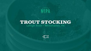 9.4K views · 37 reactions | Trout fishing is officially open statewide! Check out our trout stocking trip with the Pennsylvania Fish and Boat Commission on the Lehigh River in Whitehaven.  #DiscoverNEPA | DiscoverNEPA | Facebook