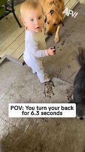 338K views · 2K reactions | No words, just mess  #afv #funny | America's Funniest Home Videos | Facebook