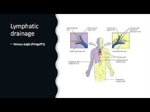 6 3 Virchows node and Troisiers sign