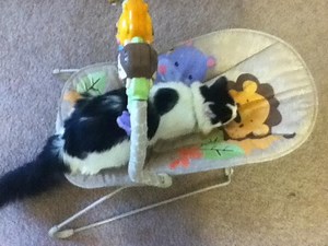 What's In A Baby Hope Chest?