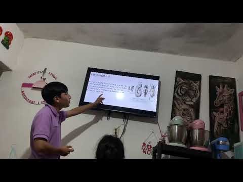 Orden coleoptera expocision