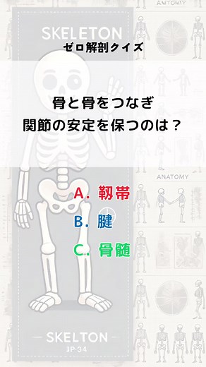 #解剖学 #解剖生理学 #生理学 #筋肉 #筋トレ #ストレッチ #ヨガ #ピラティス #パーソナルトレーナー #インストラクター #整体