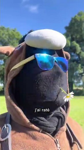 The Bloopers feat. Popo, Pony Depp… the whole lot 🤣🤦🏻‍♀️