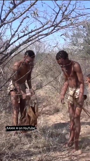 What happens when the San people go out hunting in Kalahari Desert | Here is how they Demonstrate their hunting techniques #Botswana #Sanpeople #bushmen #Lifestyle #hunting #trending #natgeo #tiktok #Dog #hadzabe