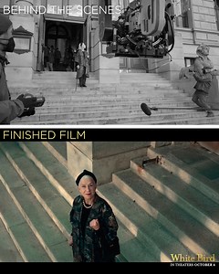 10K views · 44 reactions | From behind-the-scenes to final film! #WhiteBirdMovie  | White Bird | Facebook