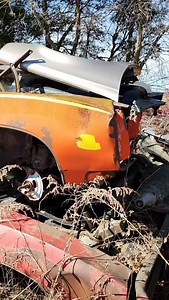 How about a real 1969 GTO Judge sitting in a junkyard! I almost didn't believe it back in 2014! Crazy to think stuff like this is still out there #autoarchaeology #junkyard #junkyardfind #gto #judge #pontiac #barnfind #barnfinds | The Auto Archaeologist