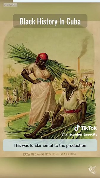 @freedomismineofficial • 🇨🇺 Discover the untold stories, struggles, and achievements of Afro-Cuban communities all over the island by illuminating the African Diaspora's hidden narratives. Learn more on our YouTube site about this and other topics.🤩 🎙🎬: Fayida Jailler 🎨: @artbyjimm & @als_stone 🎼: Son Callejero by C-Noise Beats ✨Do you enjoy Freedom Is Mine content? 🖤Share our posts and like us. 🖤It's free and would help us a lot. . . . 👀Interested in learning more about the African di
