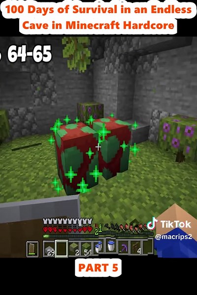 100 Days of Survival in an Endless Cave in Minecraft Hardcore (5)