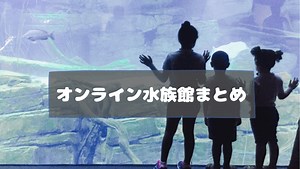 【オンライン水族館】ライブ映像が見られる水族館まとめ｜海外の水族館も
