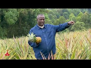 BONGA UNIVERSITY DOCUMENTARY FILM (Dr petros president of Bonga university*)ቦንጋ ዩኒቨርሲቲ)