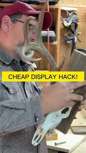 Turn Old Barn Wood into a Pro Deer Mount!