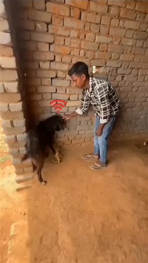 Nisha Gmr on Instagram: "♡ 1ㅤ ❍5ㅤ ⎙1ㅤ ⌲20 ˡᶦᵏᵉ ᶜᵒᵐᵐᵉⁿᵗ ˢᵃᵛᵉ ˢʰᵃʳᵉ➪𝐋𝐢𝐤𝐞 ♡︎ 𝐚𝐧𝐝 ♡︎➪𝐒𝐭𝐨𝐫𝐲 . . . #🎂要怎麼不經意的讓另一一半看到這篇文👀 儀式感滿滿🈵🔜蛋糕小熊蠟燭旋轉褸盒🕯️ 嘿~閉上眼睛～許個願吧✨ 希望你的願望會實現 （偷偷按下機關）有我幫你準備的小驚喜唷 ⚠️ 商品是蛋糕小熊機關盒 沒有附戒指💍禮物要自己準備唷 流行周邊好物推薦搜尋 ✨ 玩具公仔搜尋🔍 寵物周邊搜尋 🔍 勗新商品資訊請看限時動態精選💭 下單方式🛒 🔜留言”+1；小編火速回覆你下單資訊 🔜留言”+1； 小編火速回覆你下單資訊 可自行截圖商品私訊購買‼️ 付款方式 台灣地📦匯款、ATM轉帳（可無摺）、街口支付 支持全球順豐配送🌍微信、支付寶收款 國外配送約2週左右 因天氣、不可控因素可能延誤 能接受再下單🗳️可詢問客服配送進度. . . . #rolexgamingz #gaming gamingposts reelsinstagram reelsindia freefir