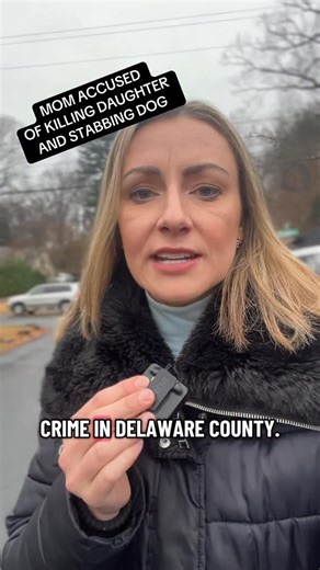 Beccah Hendrickson on Instagram: "Delaware county mom is accused of stabbing and killing her daughter and hurting her dog at their Secane home."