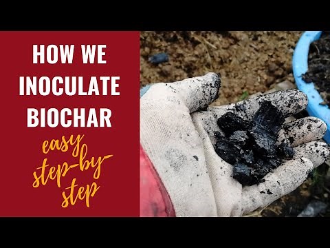 How To Inoculate Biochar - Easy Step-By-Step Process