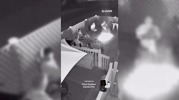 Security Cam Captures Moment Dog Jumps Out Of Window