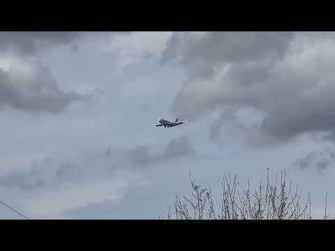 Cargolux Cargo Plane Landing Massive Boeing 747 Freighter Arrival