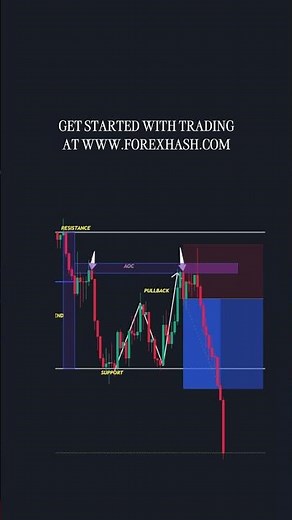 The Best forex trading tips for beginners