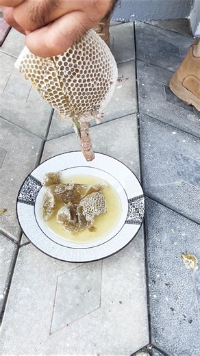 خلية عسل بوطويق من موسم السدر الحمدلله #shorts