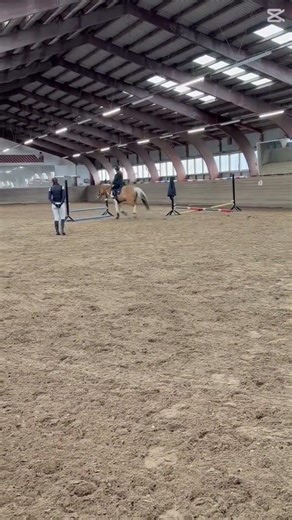 The overjump🥹🙏 #horse #heste #equestrian #pony #cari #horsebackriding #jumping #horseriding