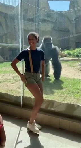 My Dance Started It… The Gorilla Finished It 😱🦍 | Viral Zoo Short