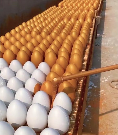 金の卵の作り方