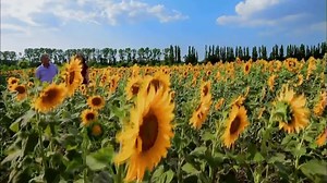 Viking Cruises TV Spot, 'PBS: River'