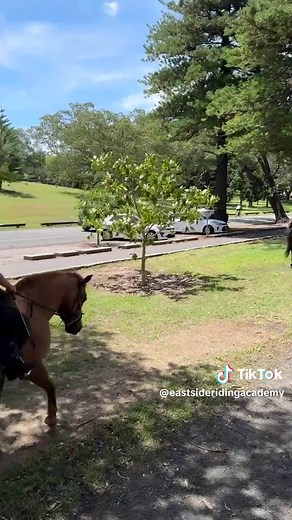 Eastside Riding Academy on TikTok