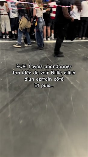 POV: ta vécu la meilleur soirée de ta vie ✨#billieeilish #billie #paris #concerts #fry