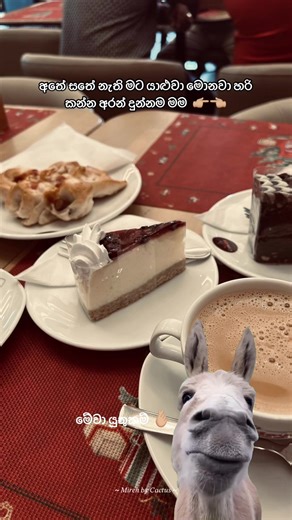 Best Friendship Memes to Share with Your BFF