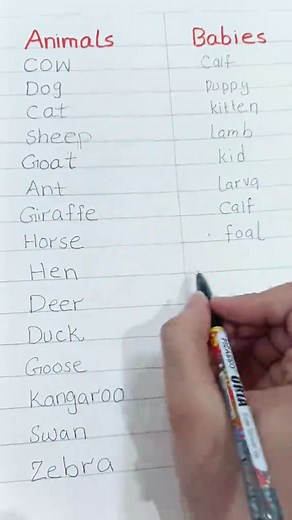 Exploring the Bond Between Animals and Their Babies