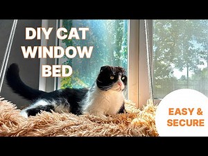 DIY: How to Easily Make a Secure Cat Window Bed | Cat Perch